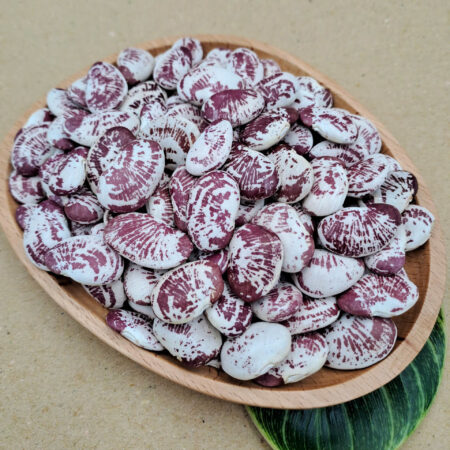 ĐẬU NGỰ